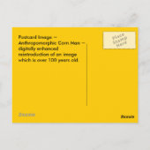 ANTHROPOMORPHE ~ ANTIQUE CORN MAN Image~ CARTE POS (Dos)