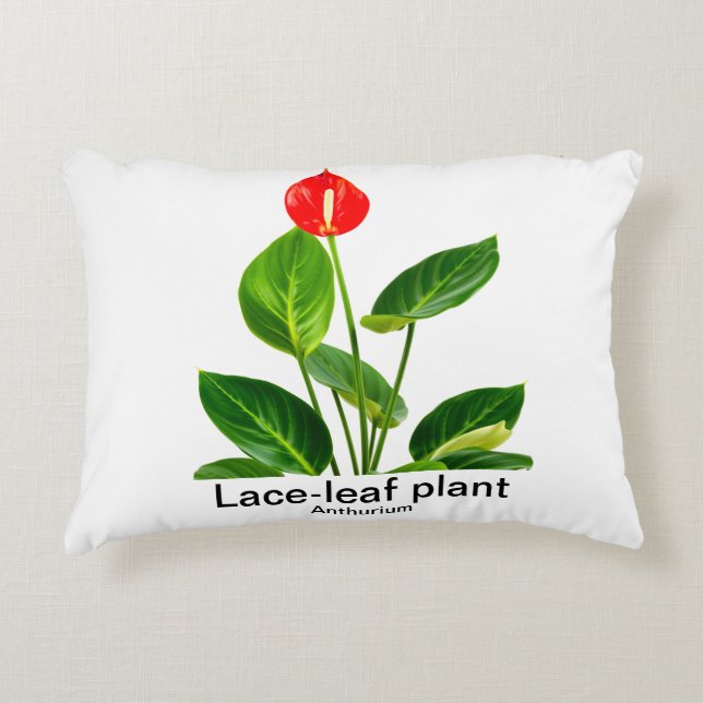 Anthurium Accent Kussen (Voorkant)