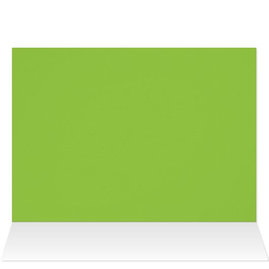 Anthurium blanc Hawaii (Intérieur Horizontal (haut))