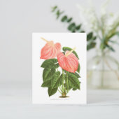 Anthurium Briefkaart (Staand voorkant)