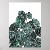 Anthurium Plant Leaf Poster (Voorkant)