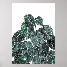 Anthurium Plant Leaf Poster