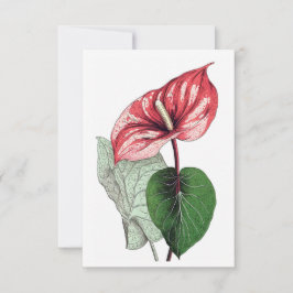 Anthurium Tropical Flower Blank Bedankkaart
