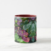 Anthuriums Mok (Midden)