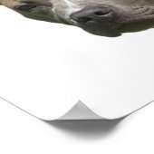 Anti-BSL bestraft de dood, niet het Breed Poster (Hoek)