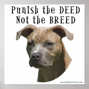 Anti-BSL Punish the Deed, not the Breed Poster