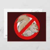 Anti-eekhoorn Briefkaart (Voorkant / Achterkant)