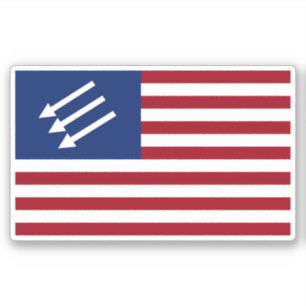 Anti-fascistische Amerikaanse vlag Sticker