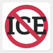 Anti ICE Sticker (Devant)