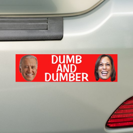 ANTI JOE BIDEN TRUMP 2020 BUMPERSTICKER (Op auto)