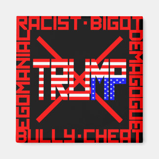 Anti Trump Magneet