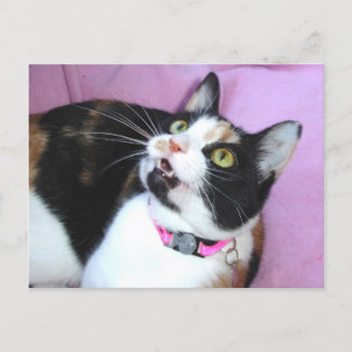 anticipatie briefkaart