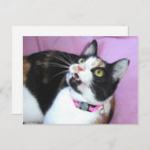 anticipatie briefkaart (Voorkant / Achterkant)