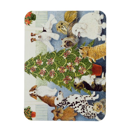 Anticipatie Magneet (Verticaal)