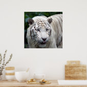 Anticipatie Poster (Keuken)