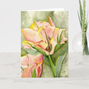 "Anticiperen" aan voordeel Kairos buiten Kaart