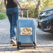 antiek 1691 Sanson-kaart van de wereld Sticker (Koffer Insitu)