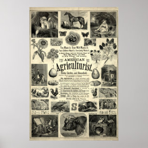 Antiek 1866 The American Agriculturist Poster