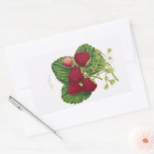 Antiek aardbei Print Sticker (Envelop)