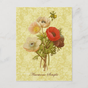 Antiek Anemone Botanisch Briefkaart