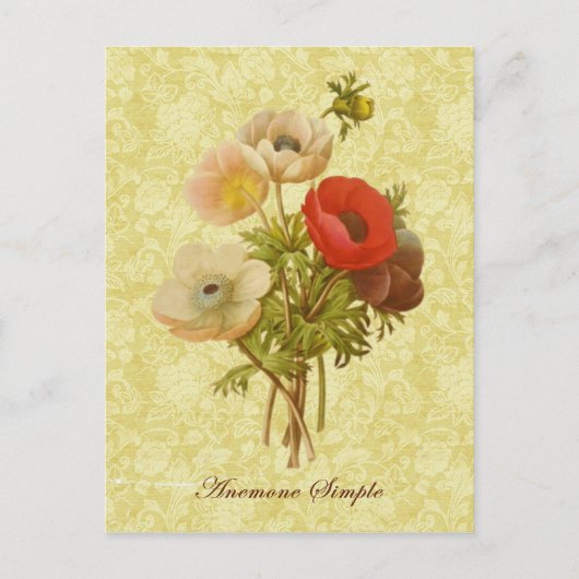 Antiek Anemone Botanisch Briefkaart (Voorkant)
