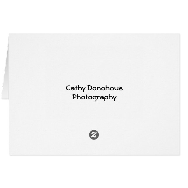 Antiek auto en pomp (Achterkant Horizontaal)