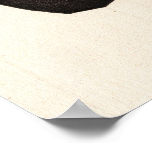 Antiek-Aziatische Japans-gedicht-hout Poster (Hoek)