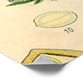 Antiek Blackthorn Botanische Print Bloembes (Hoek)