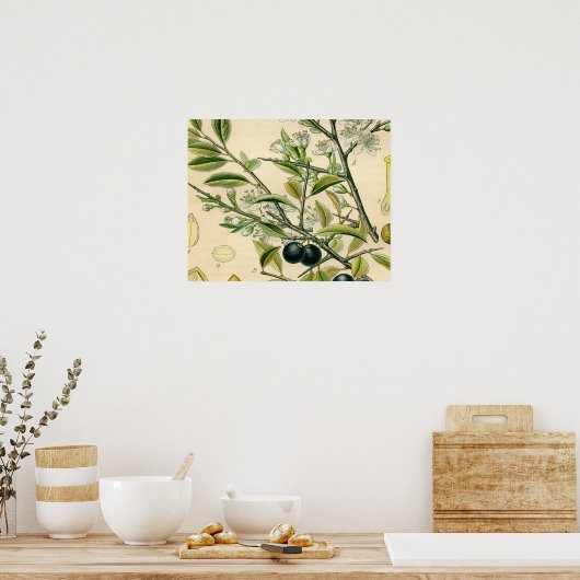 Antiek Blackthorn Botanische Print Bloembes (Keuken)