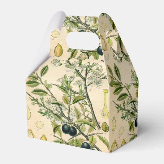 Antiek Blackthorn Botanische Print Bloembes Bedankdoosjes (Voorkant Zijde)