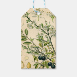 Antiek Blackthorn Botanische Print Bloembes Cadeaulabel