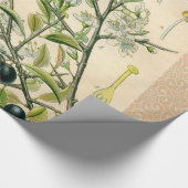 Antiek Blackthorn Botanische Print Bloembes Cadeaupapier (Hoek)