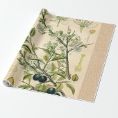 Antiek Blackthorn Botanische Print Bloembes Cadeaupapier (Uitgerold)