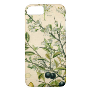 Antiek Blackthorn Botanische Print Bloembes iPhone 8/7 Hoesje