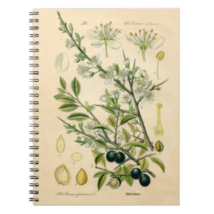 Antiek Blackthorn Botanische Print Bloembes Notitieboek