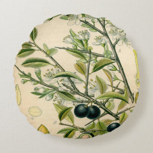Antiek Blackthorn Botanische Print Bloembes Rond Kussen