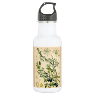 Antiek Blackthorn Botanische Print Bloembes Waterfles