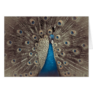 Antiek Blauw Peacock