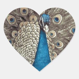 Antiek Blauw Peacock Hart Sticker