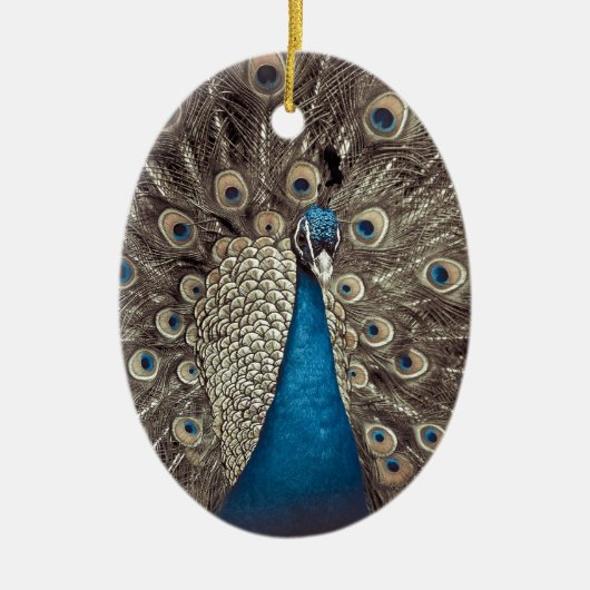 Antiek Blauw Peacock Keramisch Ornament (Voorkant)