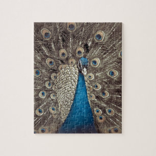 Antiek Blauw Peacock Legpuzzel