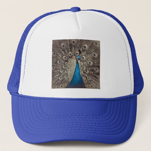 Antiek Blauw Peacock Trucker Pet (Voorkant)