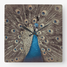 Antiek Blauw Peacock