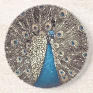 Antiek Blauw Peacock Zandsteen Onderzetter