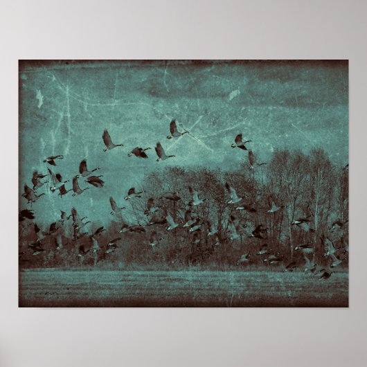  Antiek Blauwgroen groene textuur ontkoppeling van Poster (Voorkant)