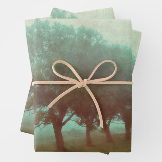 Antiek Blauwgroen textuur Landschapsontkoppeling Inpakpapier Vel (In situ)