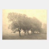 Antiek Blauwgroen textuur Landschapsontkoppeling Inpakpapier Vel (Voorkant 3)