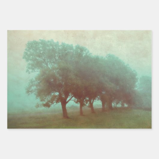  Antiek Blauwgroen textuur Landschapsontkoppeling Inpakpapier Vel (Voorkant)