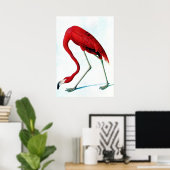 Antiek bord Amerikaanse rode flamingo Audubon Poster (Thuiskantoor)