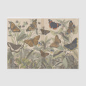 Antiek Botanische  Vlinder Decoupage Tissuepapier (Voorkant)
